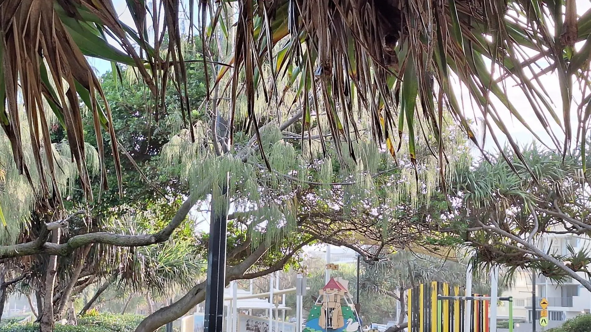 Kings Beachside Escape Spacious Apartment Centrally Located Caloundra